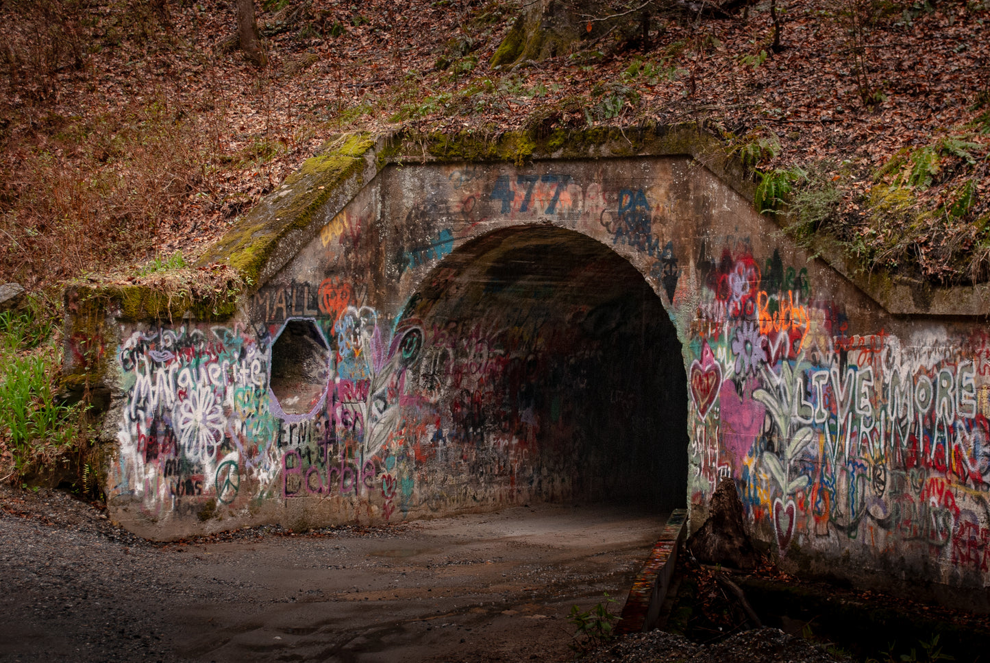 Pearson Falls Rd Tunnel 8x10