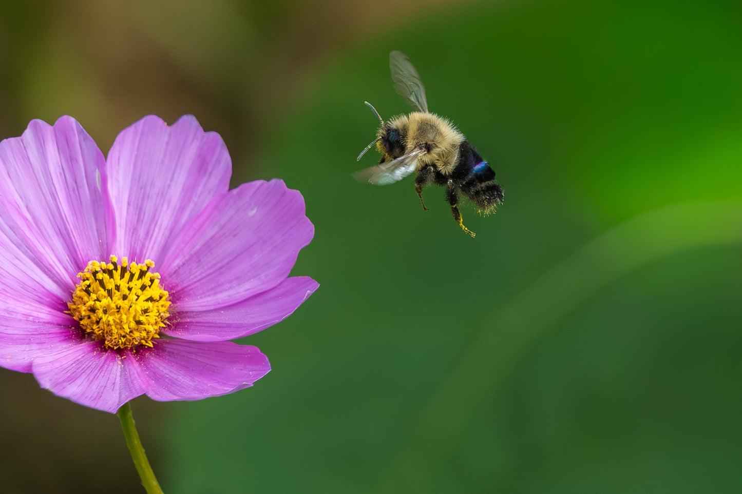 Cleared For Landing 5x7
