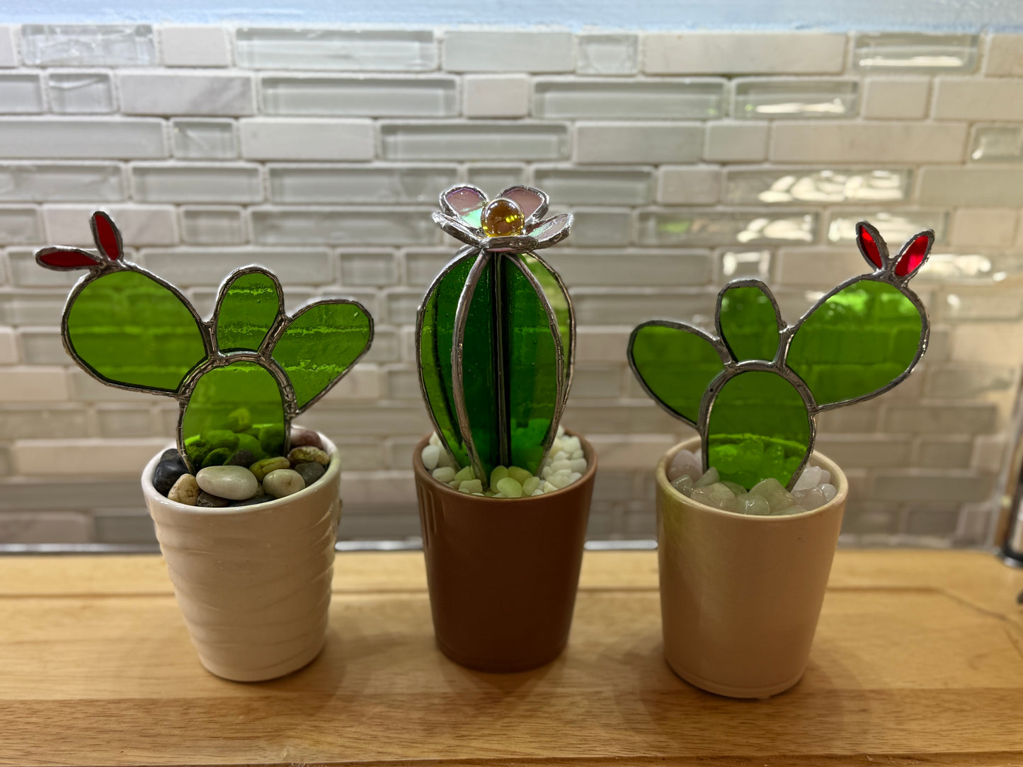 Cactus in pot