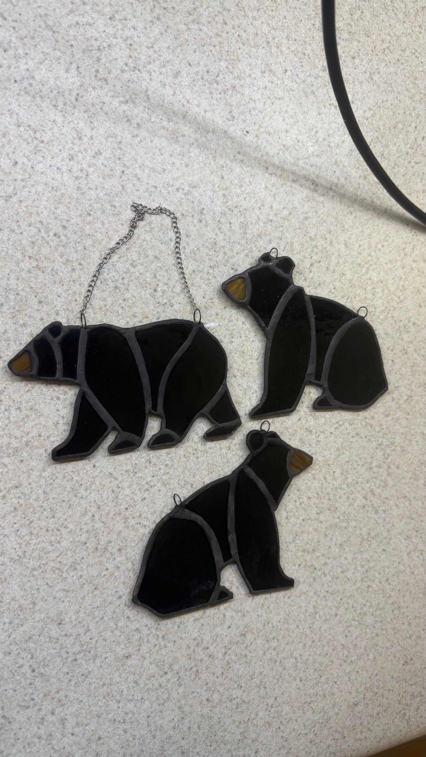 Black bear