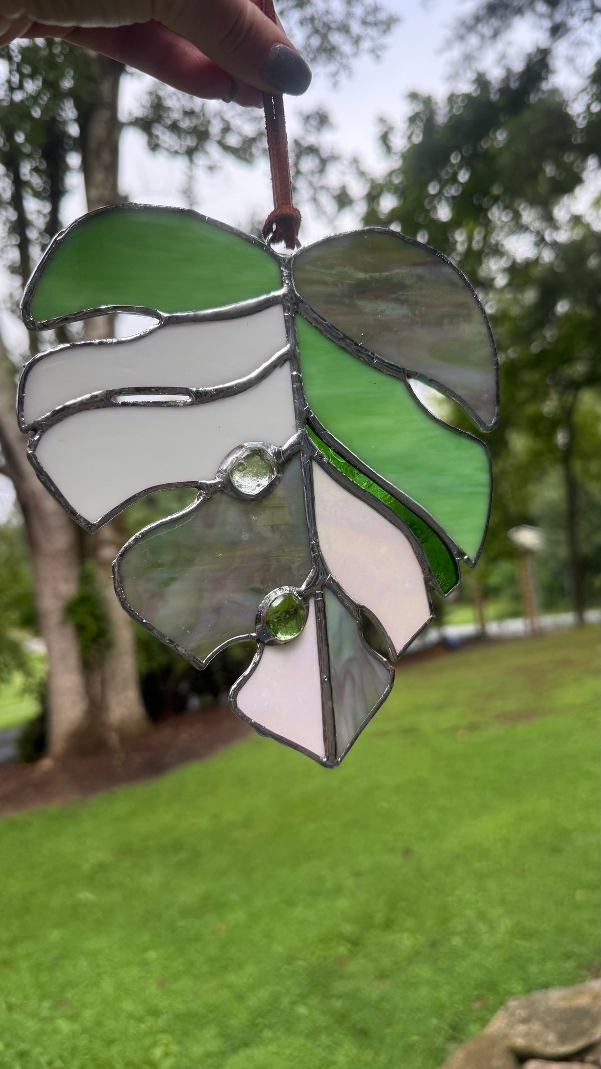 Monstera Leaf
