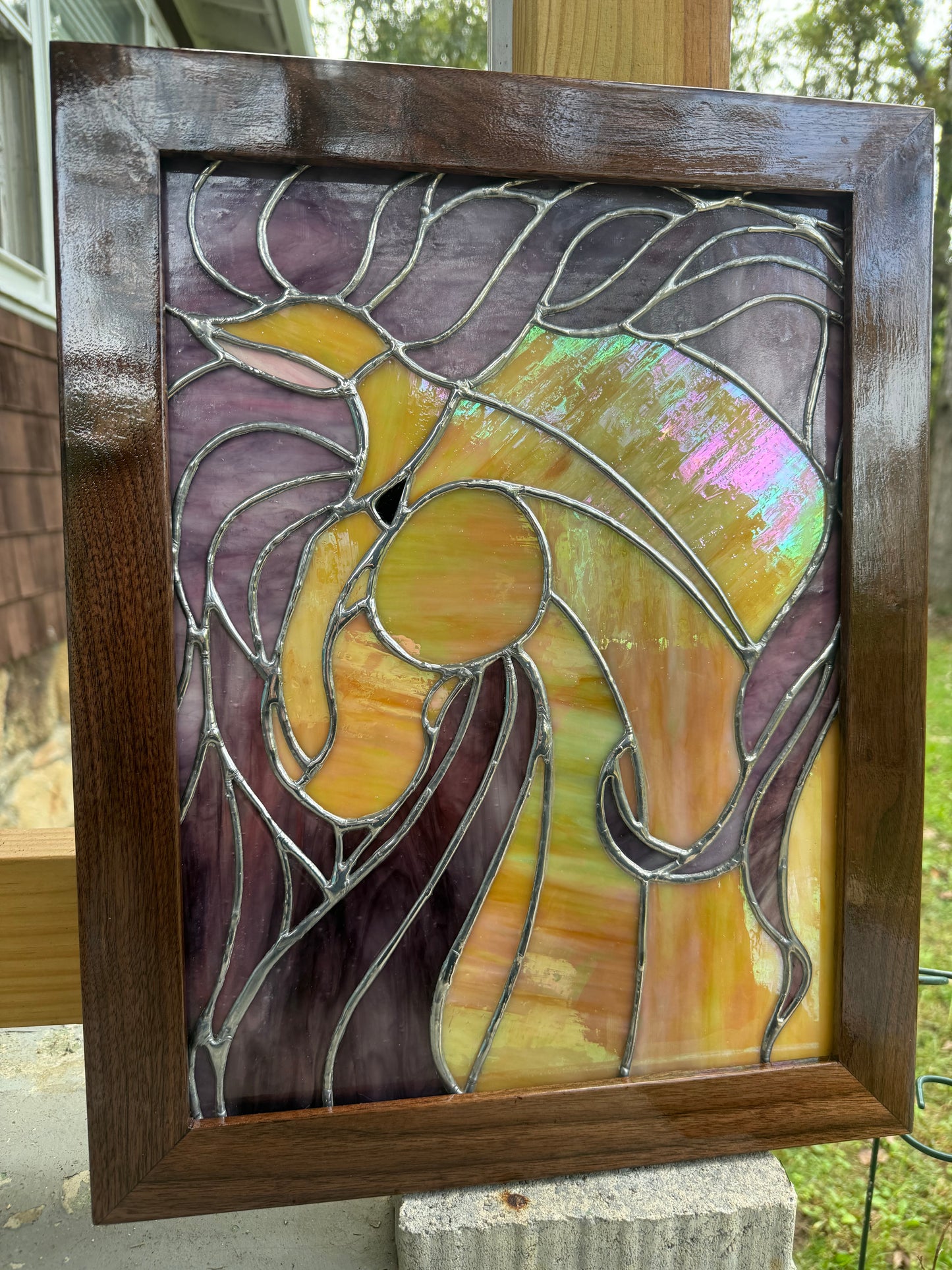 Horse Window