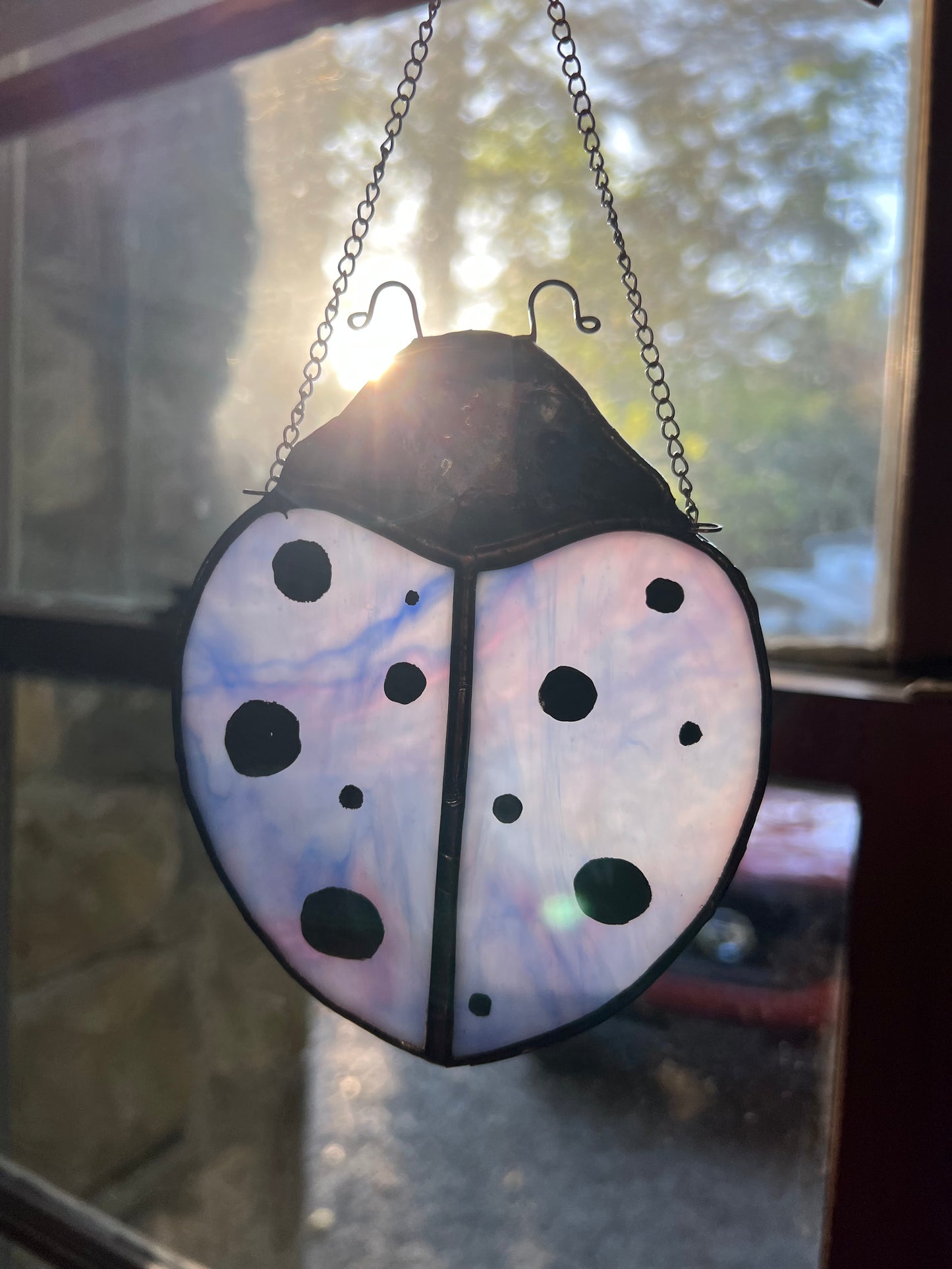 Bug sun catcher