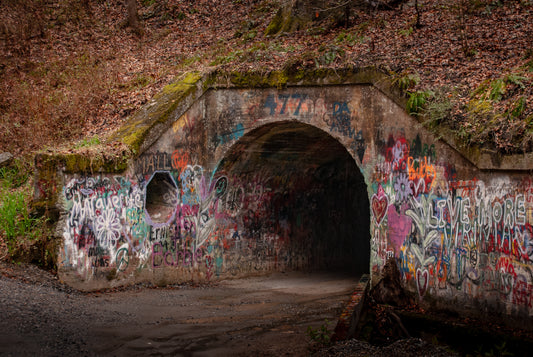 Pearson Falls Rd Tunnel 8x10