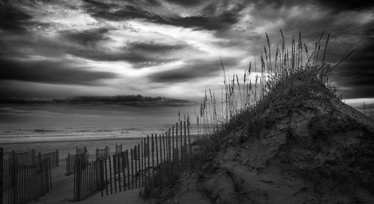 0001-1 BW Corolla Beach Dunes 8x10 Framed