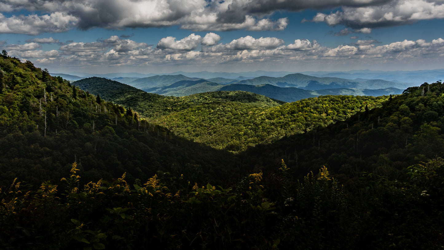 East Fork BRP 8x10