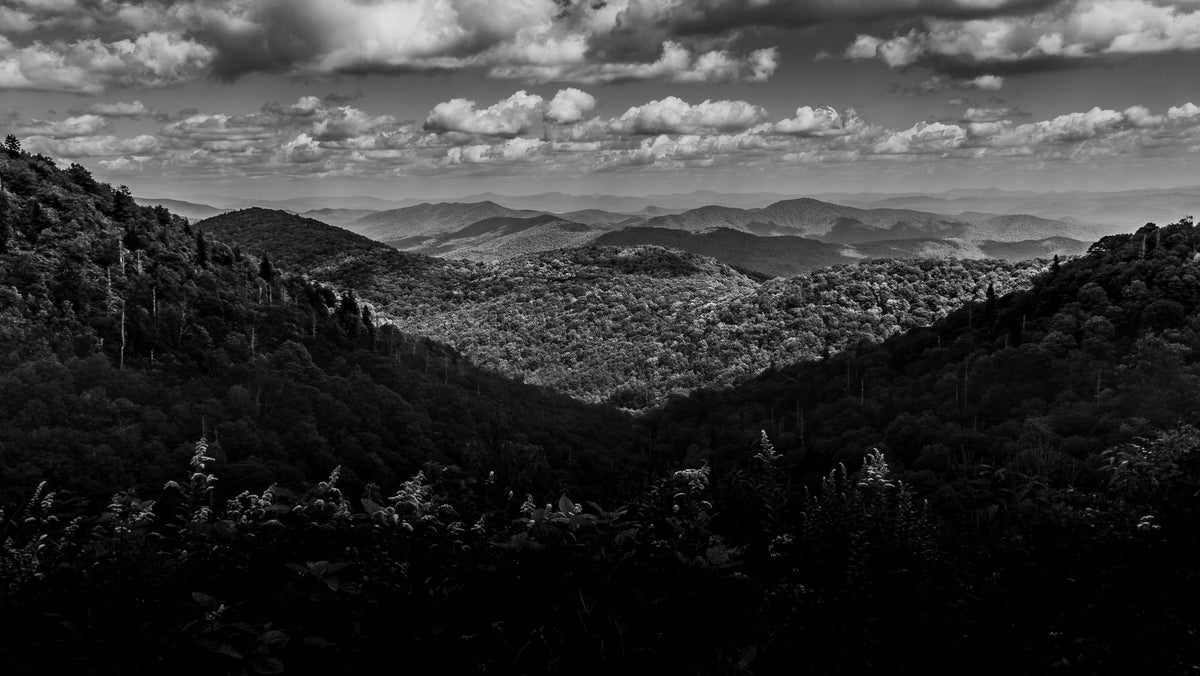 02416-1  BW Canv East Fork BRP 11x14