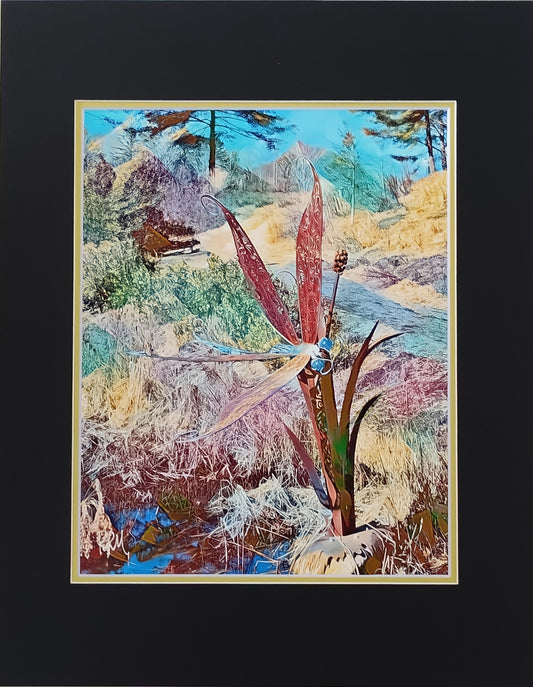 Flight of the Dragonfly 1