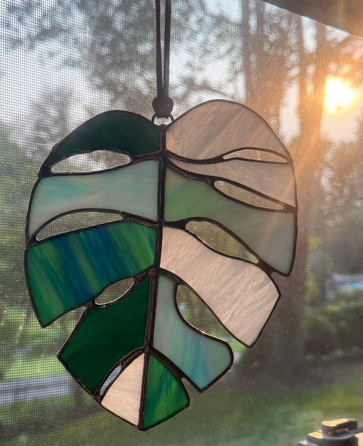 Monstera Leaf