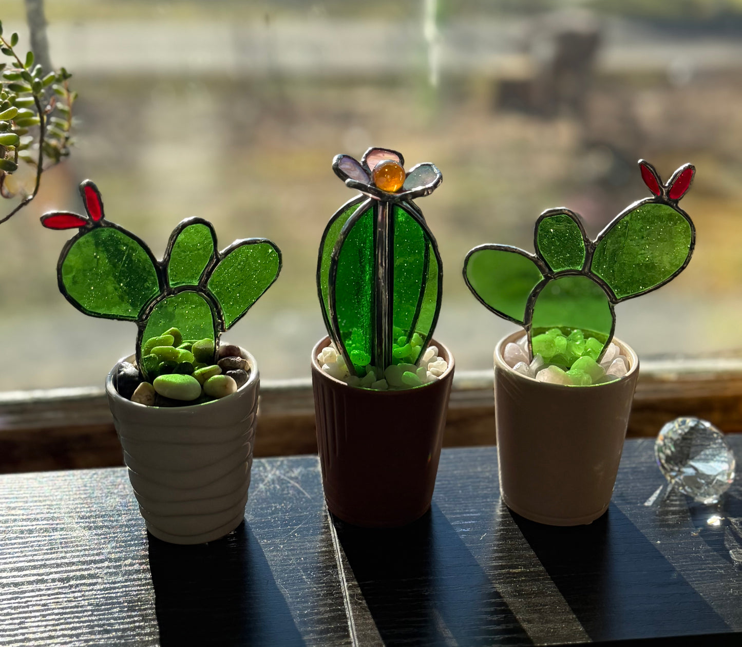 Cactus in pot