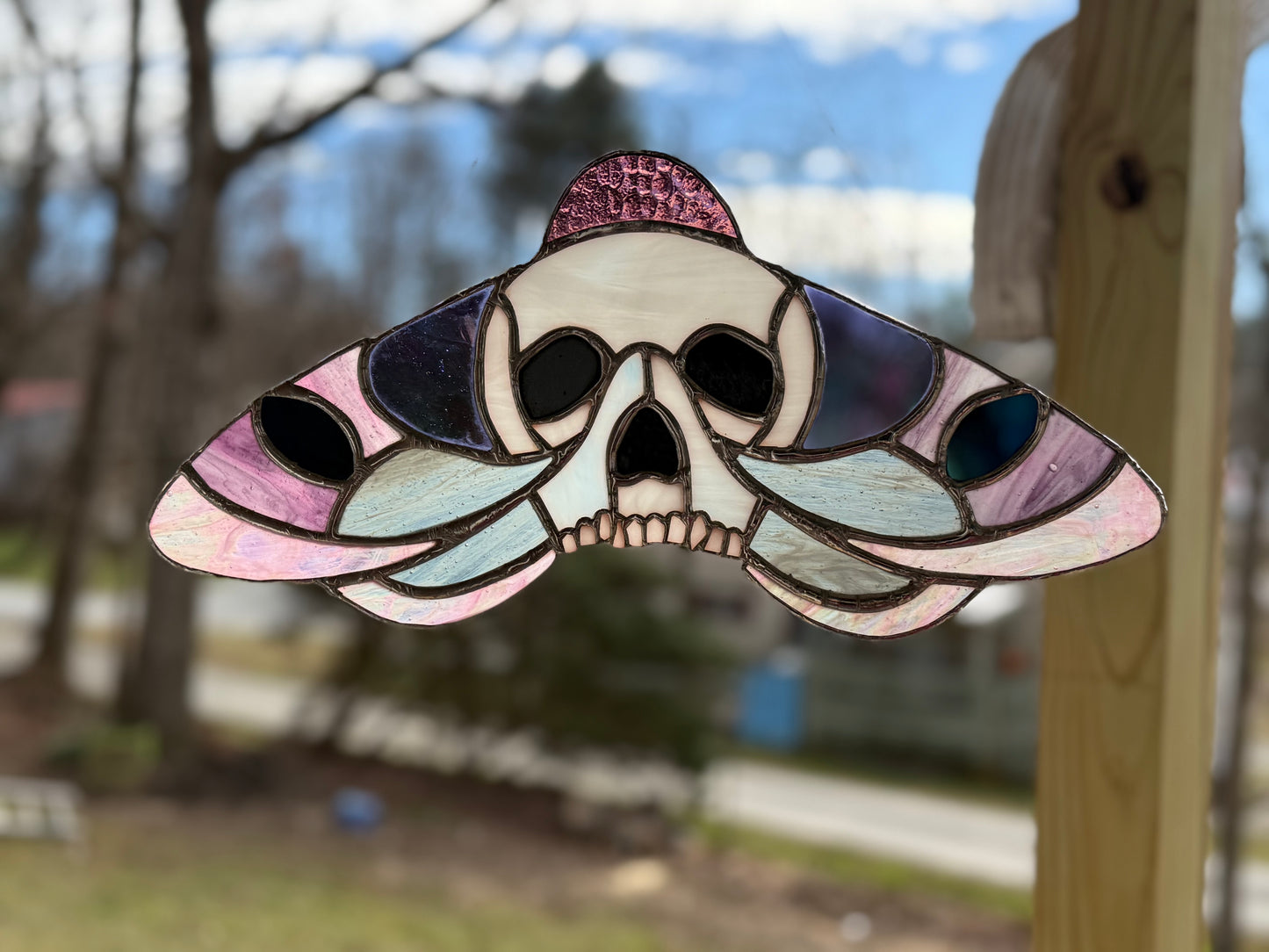 Skull moth