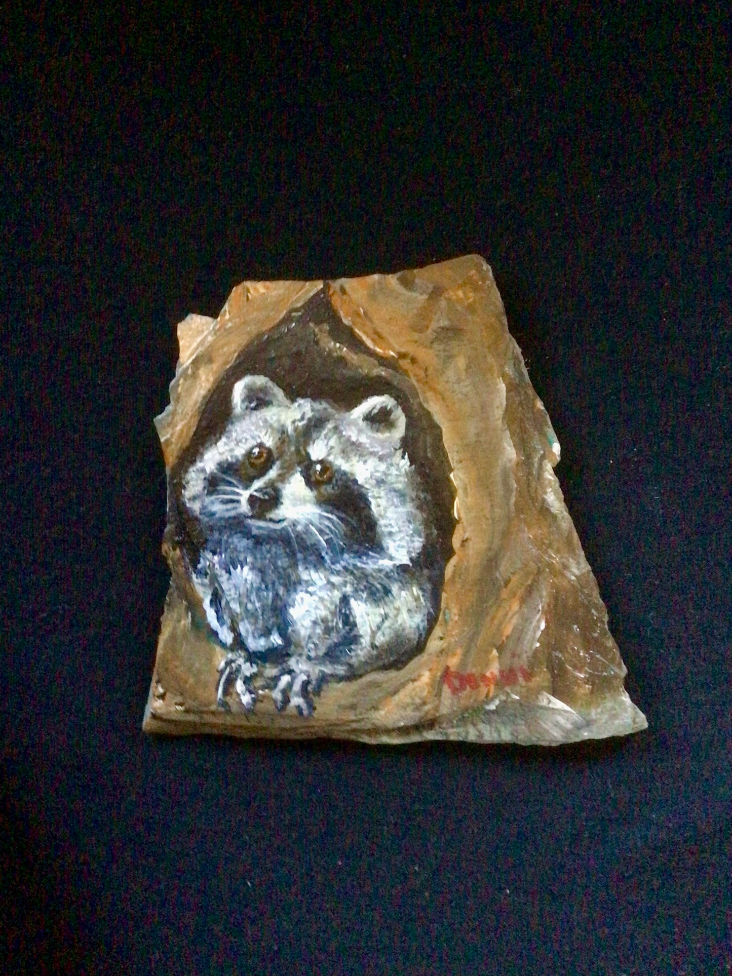Racoon