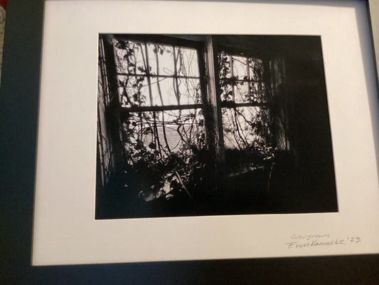 Overgrown - B&W Framed Photography  8x10 photo in 13x16 frame