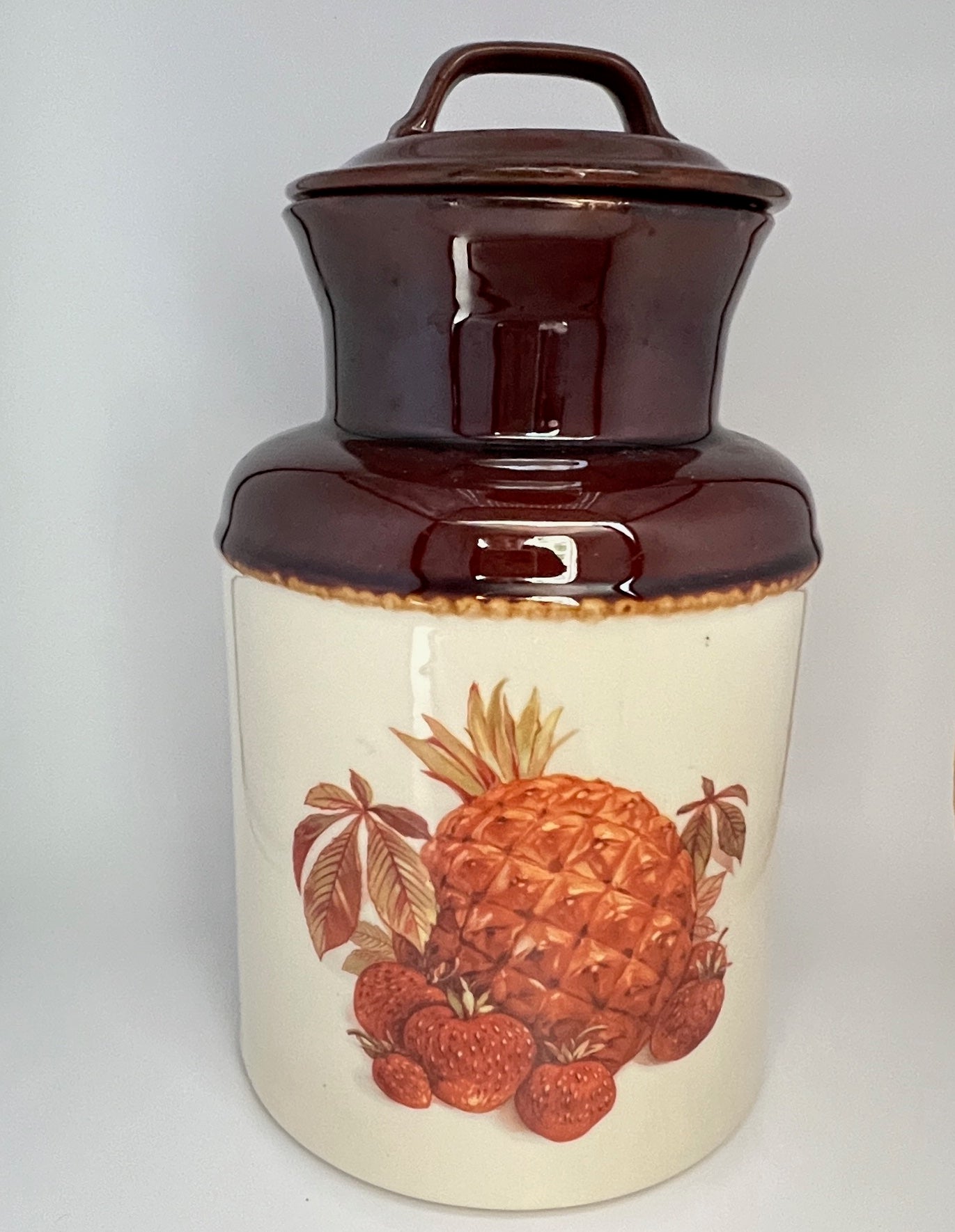 1975 McCoy #253 Fruit Festival Large Canister  10.5 inches