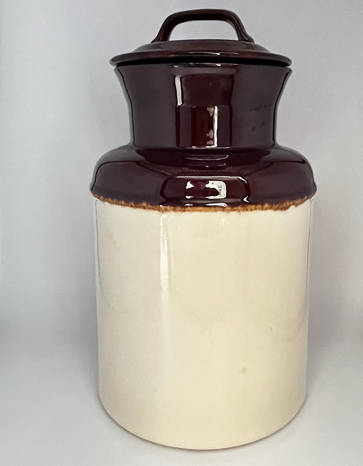 1975 McCoy #253 Fruit Festival Large Canister  10.5 inches