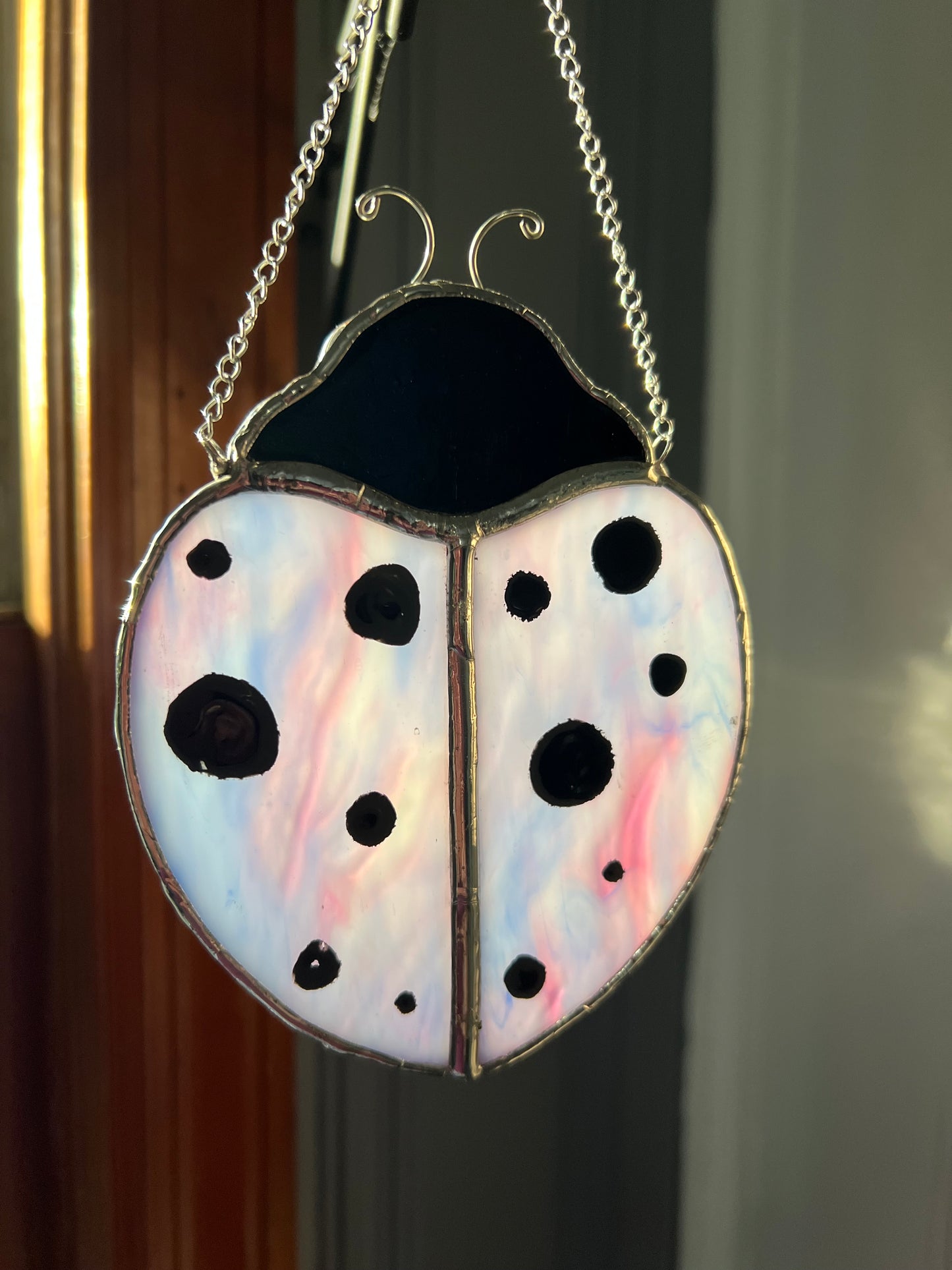 Bug sun catcher