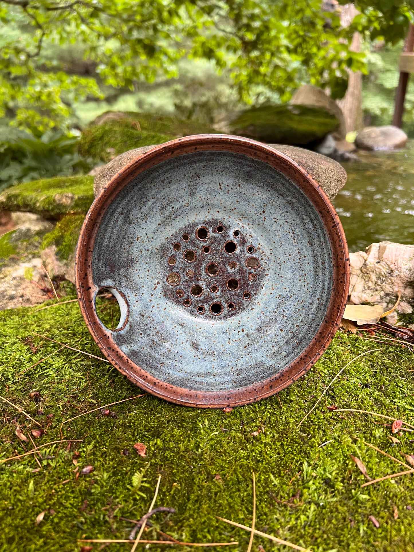 Berry bowl