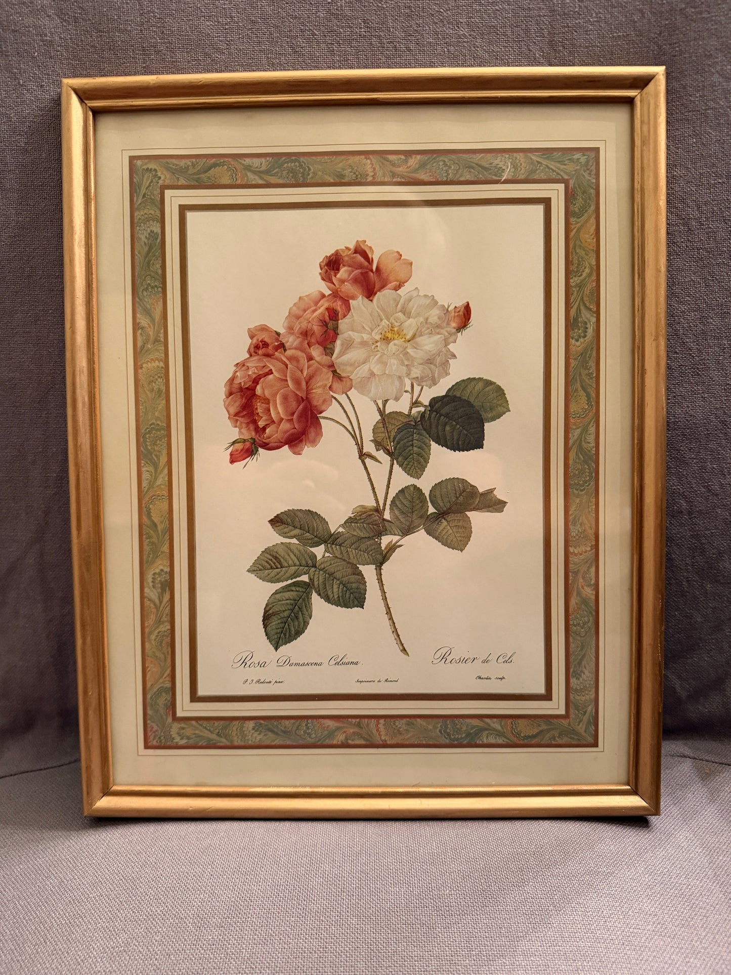 Artwork Pierre-Joseph Redoute 15" x 12"