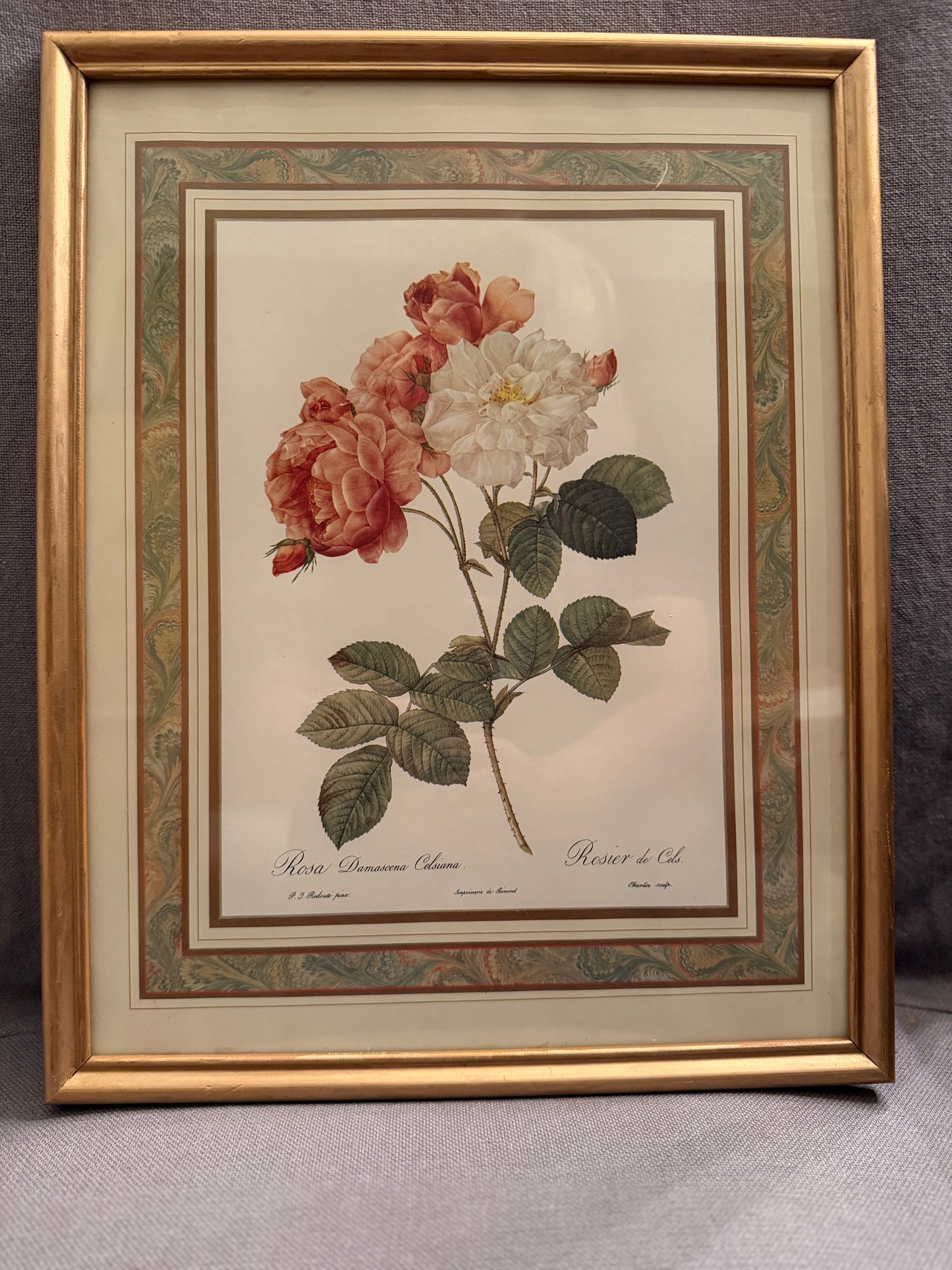Artwork Pierre-Joseph Redoute 15" x 12"