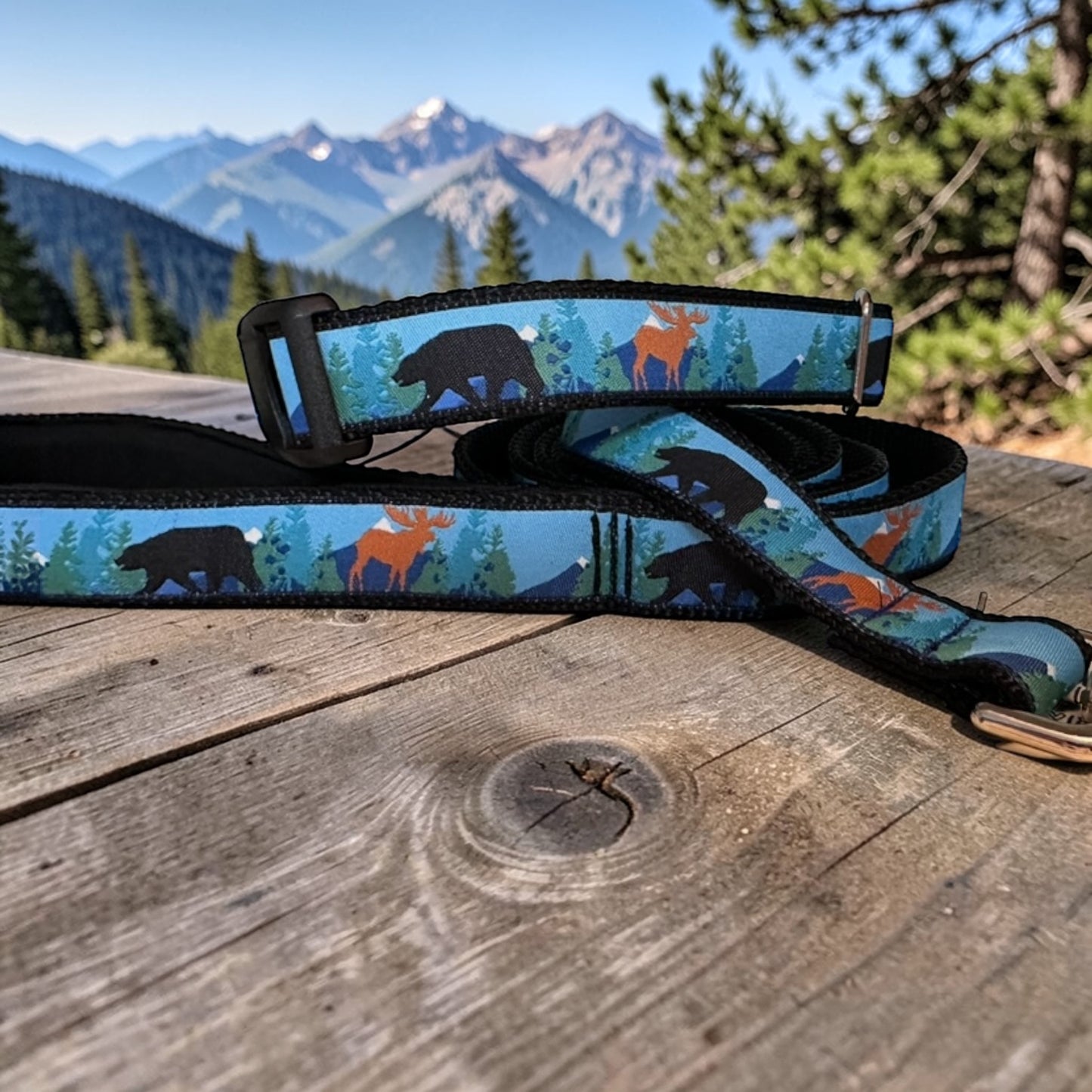 Bear & Moose Mountain Dog Collar Winni&Me Woofwear MD 13-18