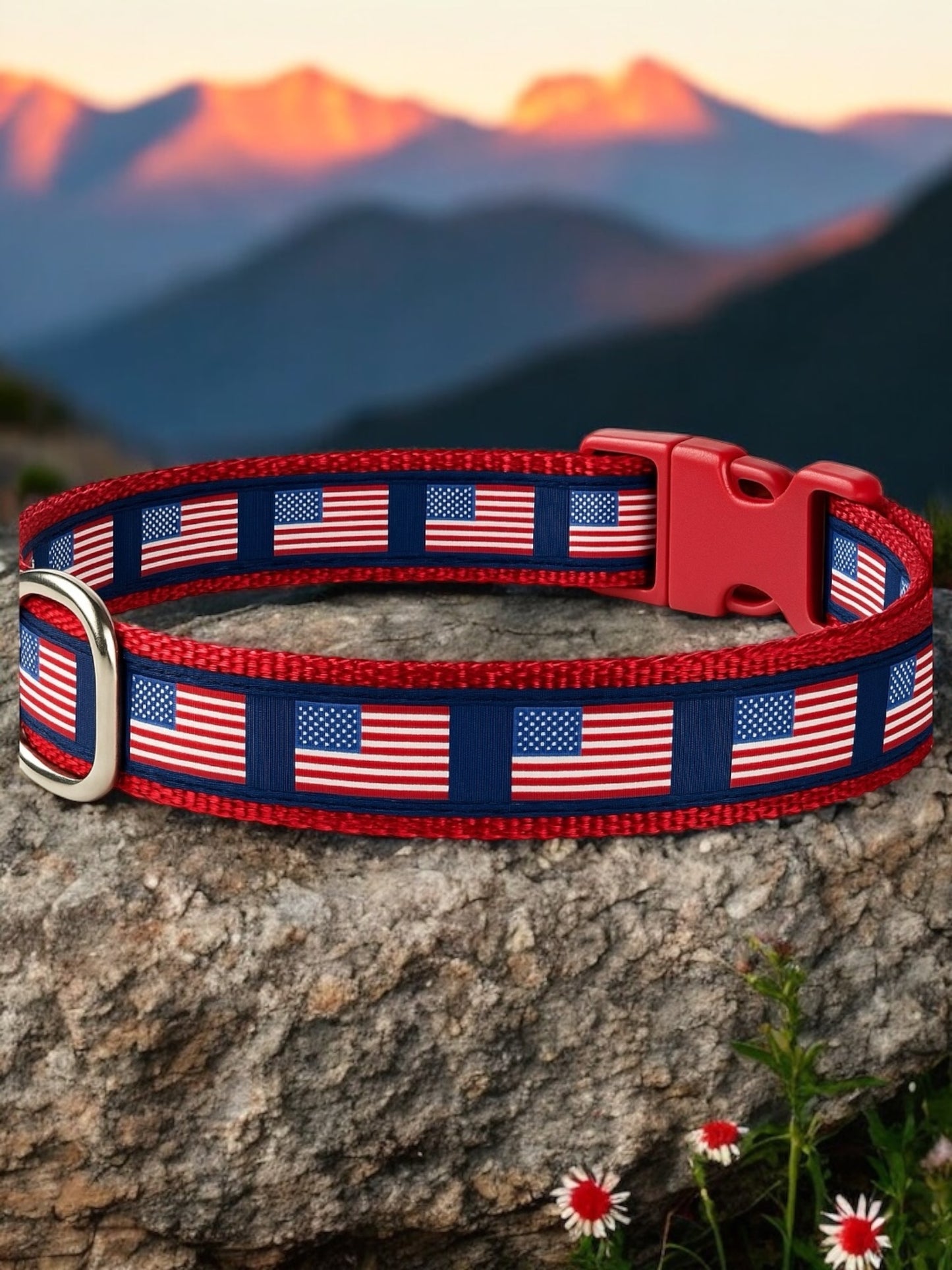 American Flag Dog Collar Winni&Me Woofwear SM 10-15 IN