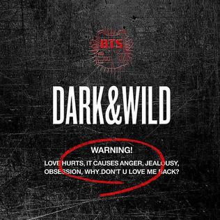 Coaster BTS Dark and Wild Album Cover