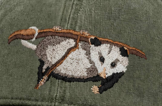 Hendersonville ECO Cap Possum