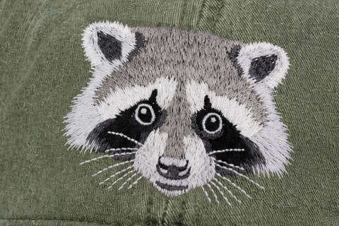 Hendersonville ECO Cap Racoon